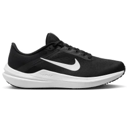 Nike - Nıke Aır Wınflo 10 Dv4022-003 